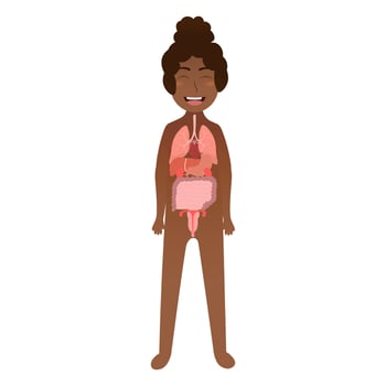 Girl internal organs for science poster for kids, child body anatomy in cartoon vector style on white background, healthcare concept