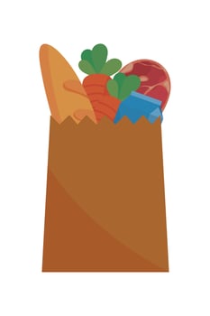 grocery bag with food vector