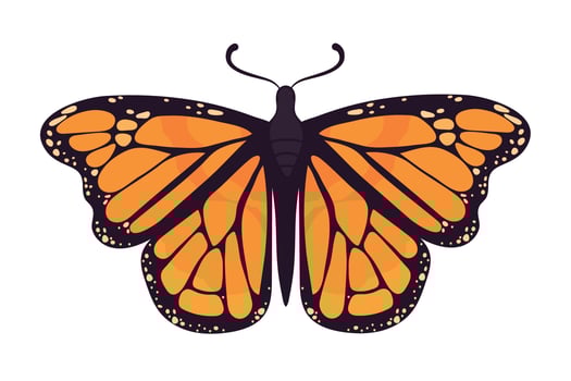 monarch butterfly bug vector