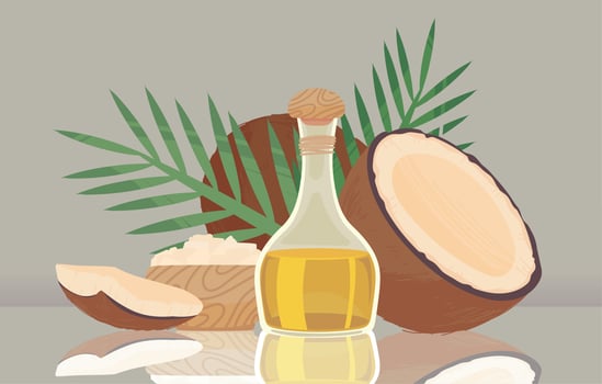 coconut and oil vector