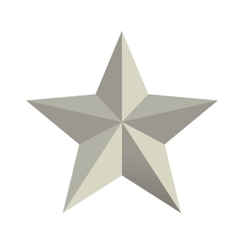 steel star icon vector