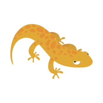 salamander amphibian animal vector