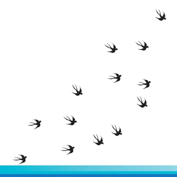 flying swallow icon vector