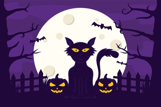 Cat on Halloween Night Background. Creepy cat background appears on Halloween night. Cat and pumpkin celebrate scary Halloween night together. vector