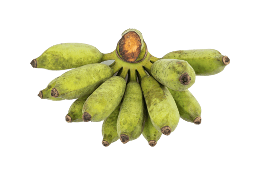 Bunch of organic raw green bananas. guineo, Musa acuminata isolated on white background. Tropical fruit Agriculture concept. png