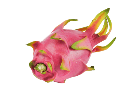 Ripe Dragon fruit,Pitaya or Pitahaya Hylocercus undatus Brit. Rose isolated on a white background, fruit healthy concept png