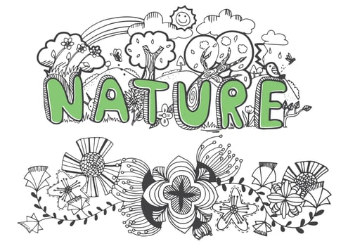 Doodle natural and flower design vector
