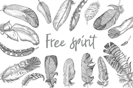 Realistic sketch of bird Feather on isolated background. Rectangular banner. Detailed ink Line pen Clip Art, Black and White Boho Clipart. Hand Drawn engraving style plume. Vintage Vector