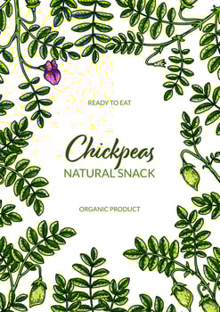 Colorful vertical chickpeas design. Hand drawn illustration in colored sketch style. Botany design for packaging, label, banner, poster vector