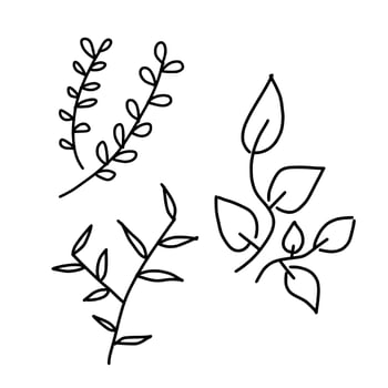 Floral Monoline background vector