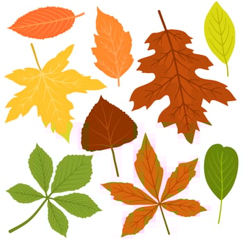 Autumn Leaves Collection Best for Sticker and Decoration vector