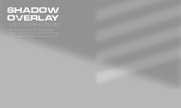 geometric background shadow overlay windows calm luxury mock up eps 10 vector