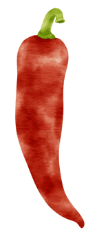 Red chili pepper watercolor style for Decorative Element png