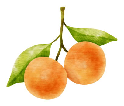 fruit watercolor style for Thanksgiving Decorative Element png