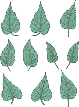 fallen autumn leaves vector set