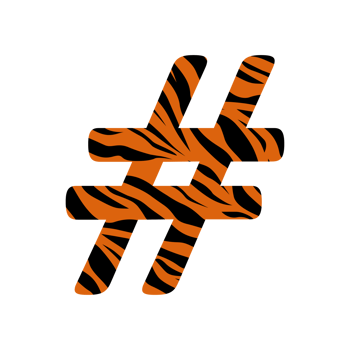 zebra prints alphabets and number png