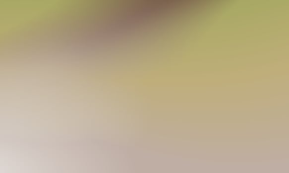 Beautiful gradient background green and chocolate smooth and soft texture vector