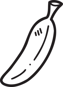 Summer illustration on transparent background png