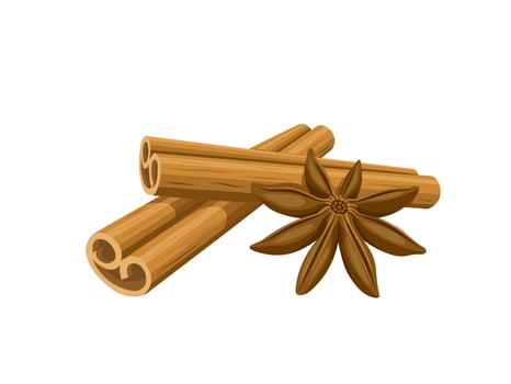 Vector illustration, cinnamon roll stick and star anise, isolated on a white background.