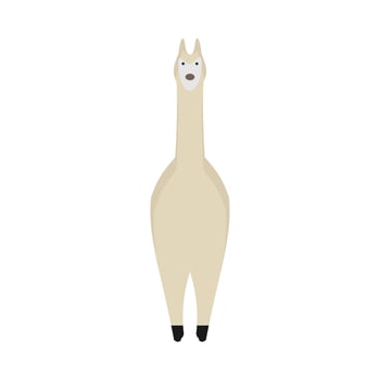 llama nature mammal wildlife happy pet vector. Cute portrait brown zoo alpaca cartoon front view vector