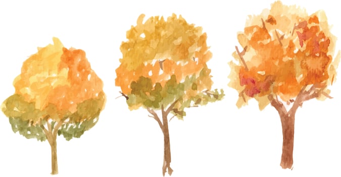 Vector hand drawn autumn tree watercolor illustration on white background.