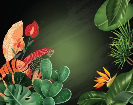 tropical houseplants flowers leaves chalkboard vector