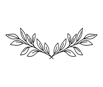 leafs branches design vector