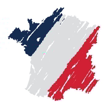 france with a flag colors vector