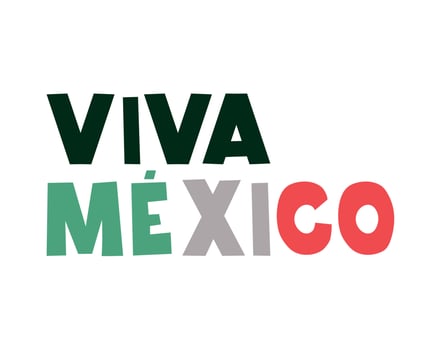 viva mexico lettering vector