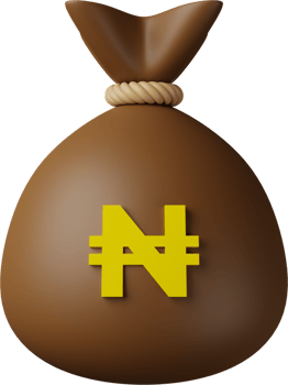 Brown Money Bag Naira 3D Illustration png