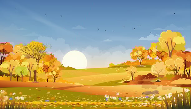 Autumn rural landscape farm fields and forest trees with orange sky sunset,Vector cartoon banner backdrop farm field harvest,Scenery of natural countryside with sunrise for fall season background vector