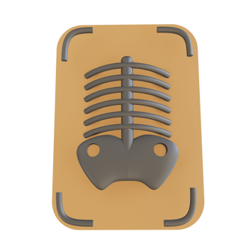 3D illustration x ray suitable for medical png