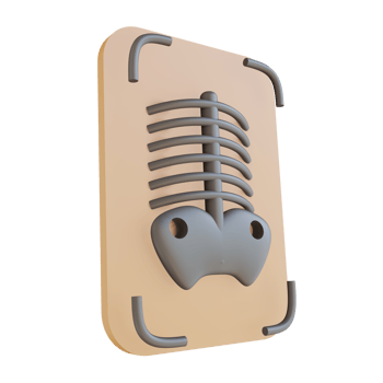 3D illustration x ray suitable for medical png