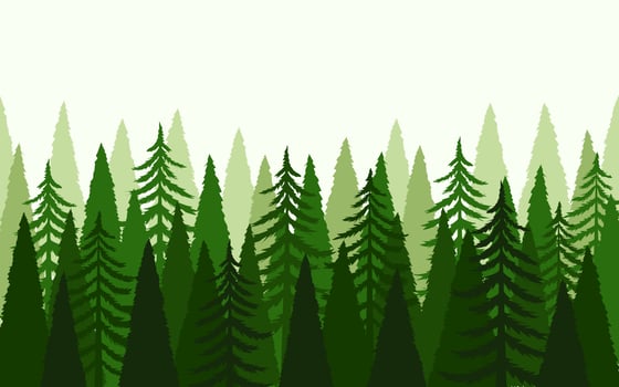 Pine Tree Forest Background vector