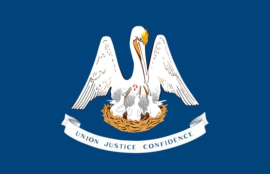 Louisiana state flag. Vector illustration.