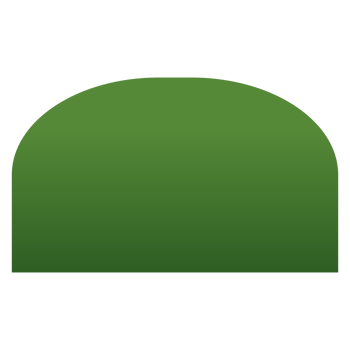 Green grass, bush, tree bush and lawn or turf. png