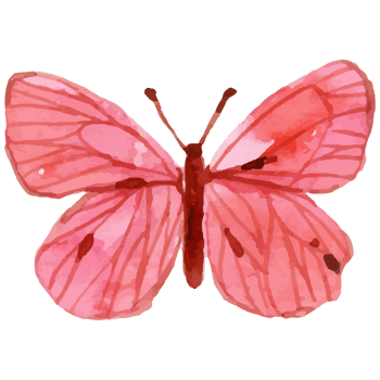 Watercolor Pink Butterfly png