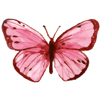 Watercolor Pink Butterfly png