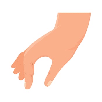 hand human touching vector