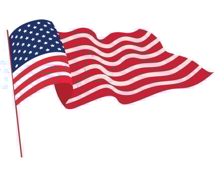 usa flag in pole vector