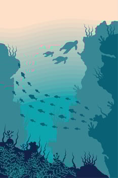 turtles and fishes vector