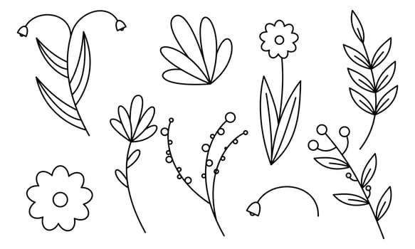 Hand drawn flower and branches doodle vector
