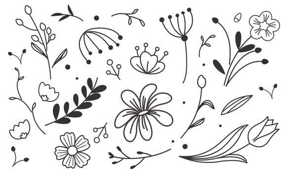 Hand drawn flower and branches doodle vector