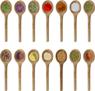 Watercolor dry kitchen spices in wooden spoon pepper, chili, cu vector