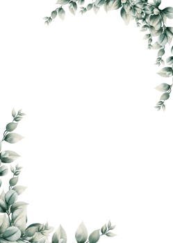 Watercolor eucalyptus leaf frame png