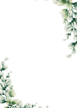 Watercolor eucalyptus leaf frame png