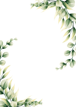 Watercolor eucalyptus leaf frame png