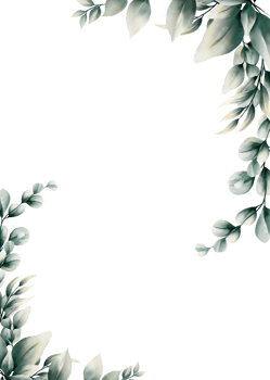 Watercolor eucalyptus leaf frame png