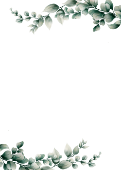 Watercolor eucalyptus leaf frame png