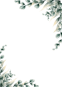 Watercolor eucalyptus leaf frame png